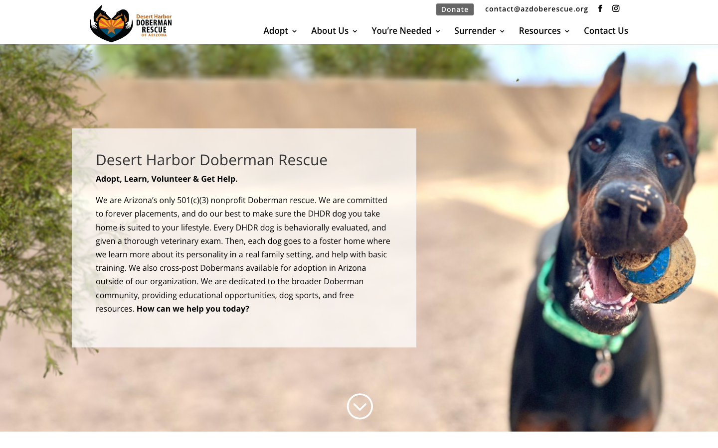 Desert Harbor Doberman Rescue homepage showing a Doberman and adoption information